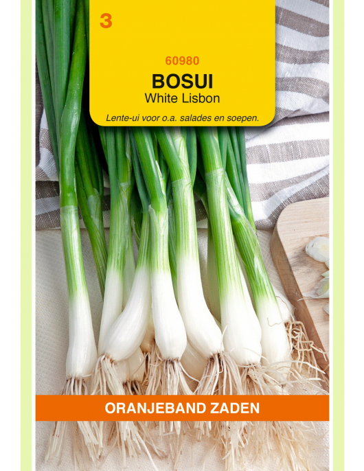 OBZ BOSUI WHITE LISBON