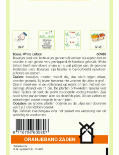 OBZ BOSUI WHITE LISBON