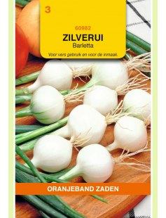 OBZ ZILVERUI BARLETTA