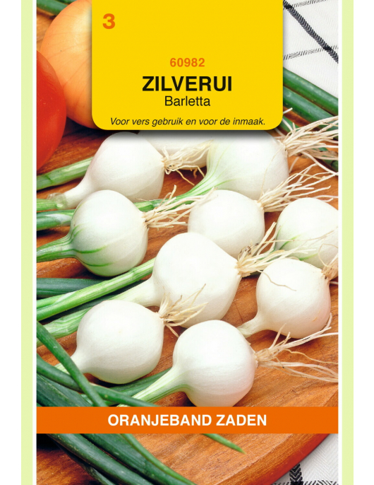 OBZ ZILVERUI BARLETTA