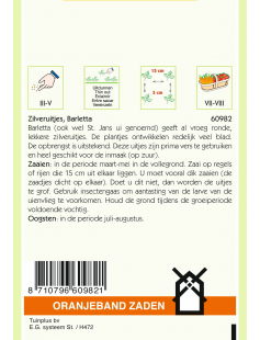 OBZ ZILVERUI BARLETTA