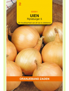 OBZ UIEN RIJNSBURGER 5