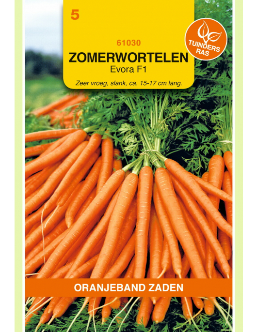 OBZ ZOMERWORTELEN EVORA F1 OBZ ZOMERWORTELEN EVORA F1