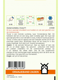 OBZ ZOMERWORTELEN EVORA F1