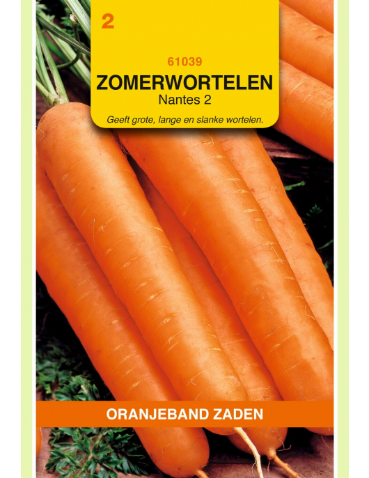 OBZ ZOMERWORTELEN NANTES 2 OBZ ZOMERWORTELEN NANTES 2