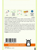 OBZ ZOMERWORTELEN NANTES 2 OBZ ZOMERWORTELEN NANTES 2