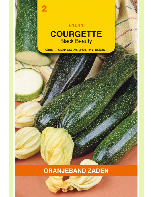 OBZ COURGETTE BLACK BEAUTY OBZ COURGETTE BLACK BEAUTY