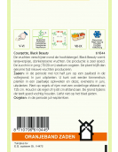 OBZ COURGETTE BLACK BEAUTY OBZ COURGETTE BLACK BEAUTY