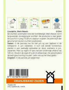 OBZ COURGETTE BLACK BEAUTY