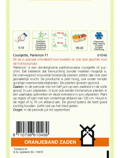 OBZ COURGETTE PARTENON F1