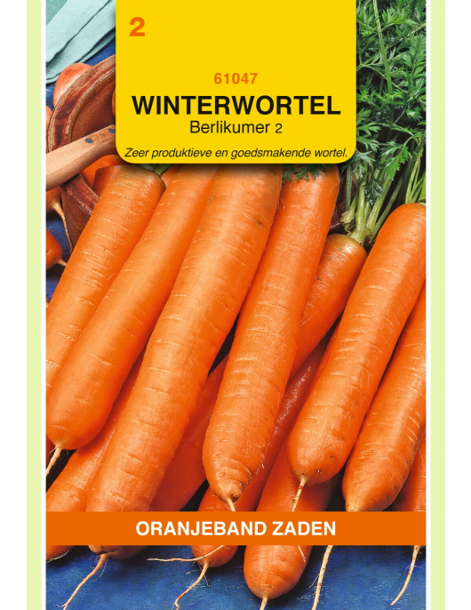 OBZ WINTERWORTELEN BERLIKUMER 2