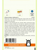 OBZ WINTERWORTELEN BERLIKUMER 2