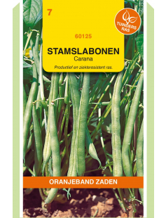 OBZ STAMSLABONEN CARANA, 100G