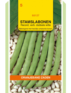 OBZ STAMSLABONEN RECORD, 100G