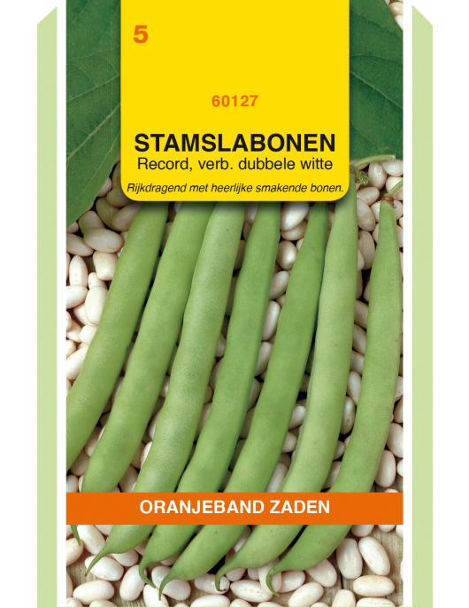 OBZ STAMSLABONEN RECORD, 100G
