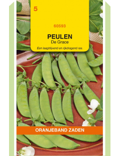 OBZ PEULEN DE GRACE, 100G