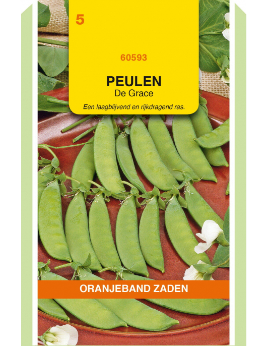 OBZ PEULEN DE GRACE, 100G