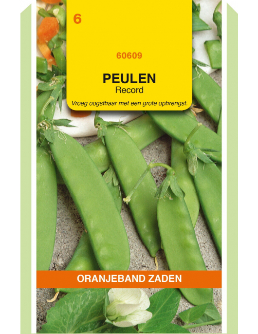 OBZ PEULEN RECORD, 100G