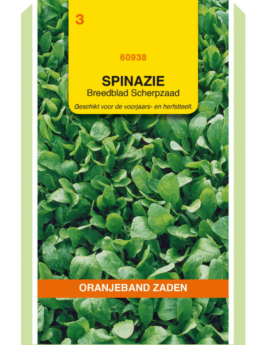 OBZ SPINAZIE BREEDBLAD SCHERPZAAD, 50G