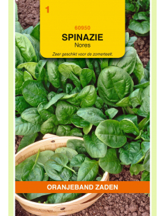 OBZ SPINAZIE NORES, 15G