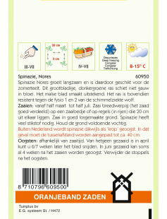 OBZ SPINAZIE NORES, 15G