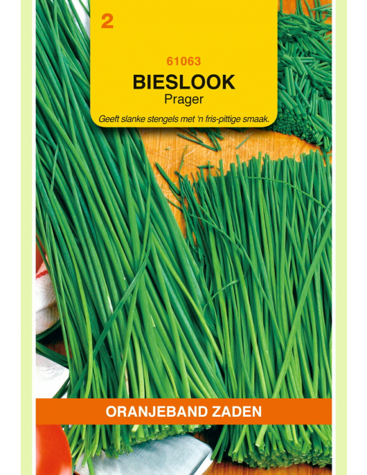 OBZ BIESLOOK PRAGER (FIJNE)