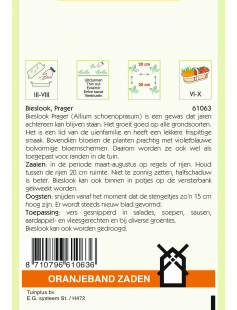 OBZ BIESLOOK PRAGER (FIJNE)