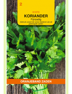 OBZ KORIANDER