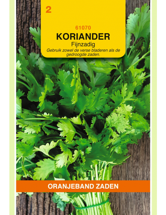 OBZ KORIANDER