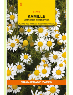 OBZ KAMILLE