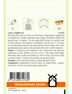 OBZ LAVAS (MAGGIPLANT)