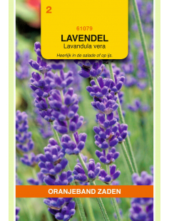 OBZ LAVENDEL