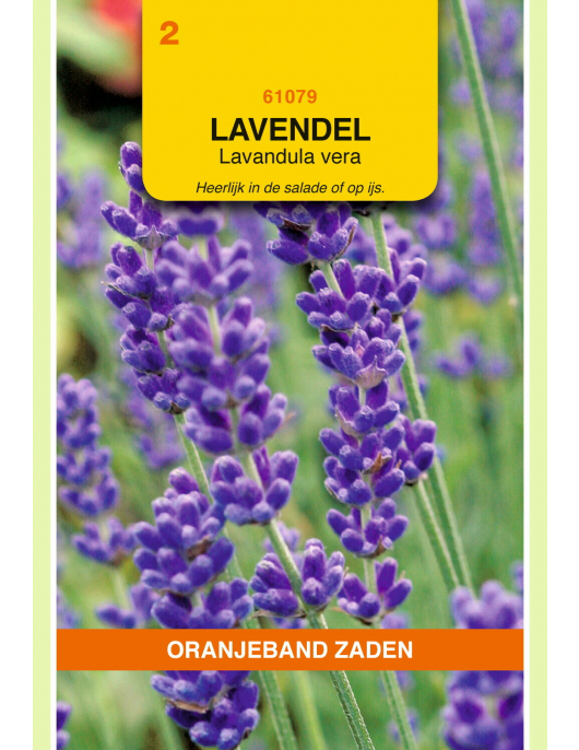 OBZ LAVENDEL