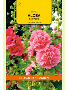 OBZ ALTHAEA (ALCEA), STOKROOS SUMMER CARNAVAL