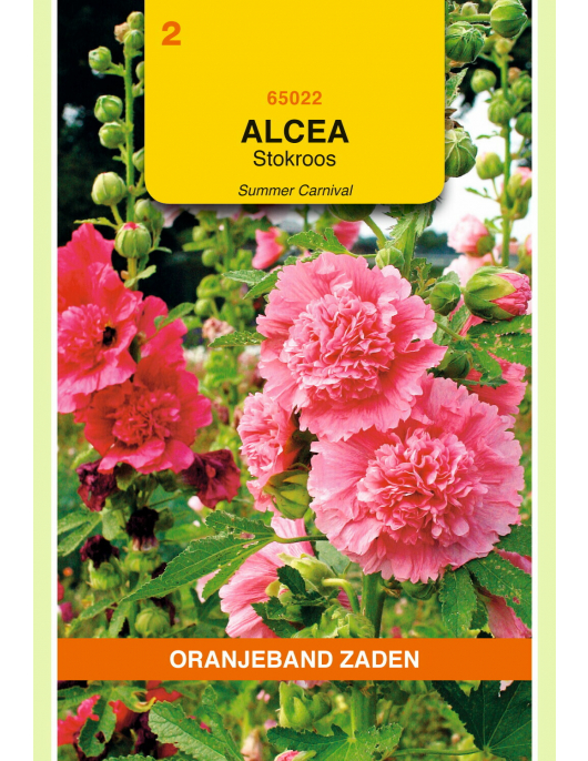 OBZ ALTHAEA (ALCEA), STOKROOS SUMMER CARNAVAL