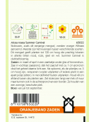 OBZ ALTHAEA (ALCEA), STOKROOS SUMMER CARNAVAL