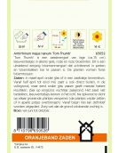 OBZ ANTIRRHINUM, LEEUWENBEKJE TOM THUMB