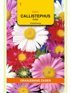 OBZ CALLISTEPHUS, ASTER ENKELBLOEMIG GEMENGD
