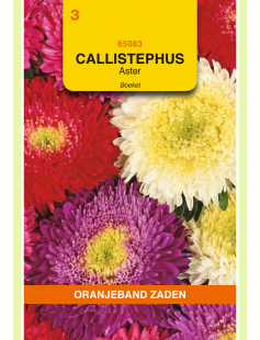OBZ CALLISTEPHUS, ASTER BOEKET GEMENGD