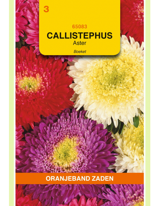 OBZ CALLISTEPHUS, ASTER BOEKET GEMENGD OBZ CALLISTEPHUS, ASTER BOEKET GEMENGD