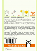 OBZ CALLISTEPHUS, ASTER BOEKET GEMENGD OBZ CALLISTEPHUS, ASTER BOEKET GEMENGD