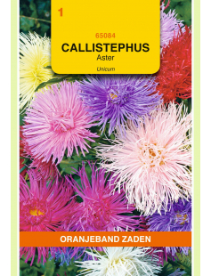 OBZ CALLISTEPHUS, ASTER UNICUM GEMENGD