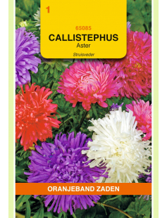 OBZ CALLISTEPHUS, ASTER STRUISVEDER GEMENGD