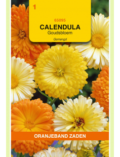 OBZ CALENDULA, GOUDSBLOEM GEMENGD