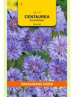 OBZ CENTAUREA, KORENBLOEM BLUE BALL