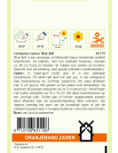 OBZ CENTAUREA, KORENBLOEM BLUE BALL OBZ CENTAUREA, KORENBLOEM BLUE BALL