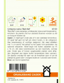 OBZ CENTAUREA, KORENBLOEM BLACK BALL