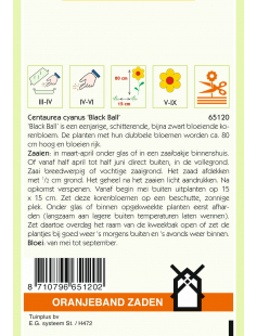 OBZ CENTAUREA, KORENBLOEM BLACK BALL