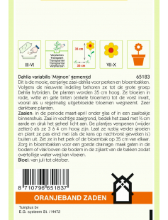 OBZ DAHLIA, MIGNON GEMENGD