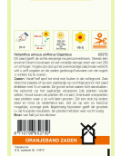 OBZ HELIANTHUS, ZONNEBLOEM GIGANTEUS OBZ HELIANTHUS, ZONNEBLOEM GIGANTEUS